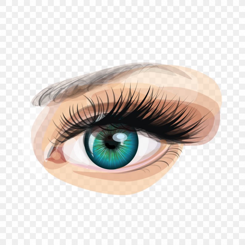 Eyelash Human Eye Mite Demodex Folliculorum, PNG, 1250x1250px, Eye, Demodex, Ear Mite, Eyebrow, Eyelash Download Free