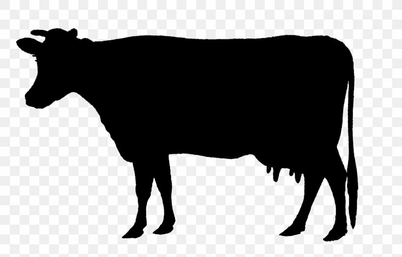 Holstein Friesian Cattle Animal Silhouettes Calf Beef Cattle Clip Art, PNG, 1600x1028px, Holstein Friesian Cattle, Animal Silhouettes, Beef Cattle, Black And White, Bull Download Free