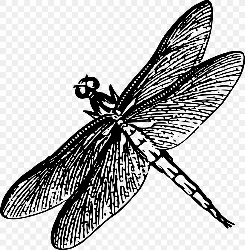 Line Art Dragonfly Clip Art, PNG, 2405x2450px, Line Art, Arthropod, Artwork, Black And White, Brush Footed Butterfly Download Free