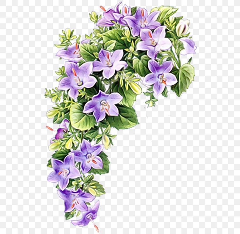 Greeting Clip Art, PNG, 544x800px, Greeting, Afternoon, Animaatio, Annual Plant, Bellflower Family Download Free