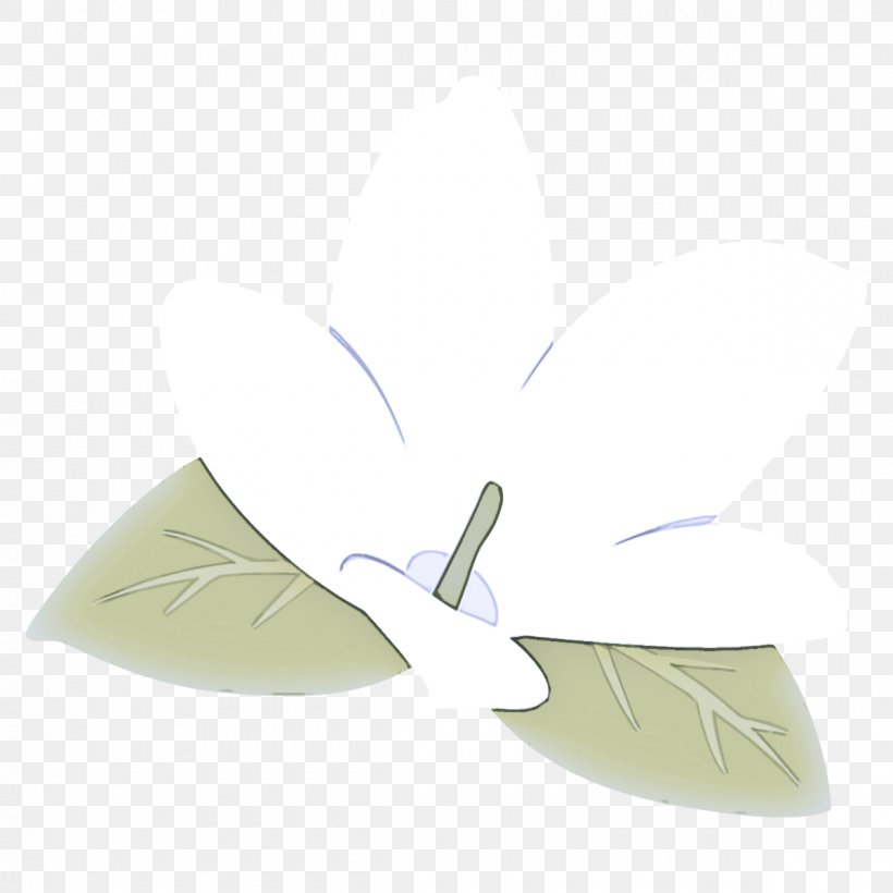 Feather, PNG, 1200x1200px, Leaf, Feather, Plant, Wing Download Free