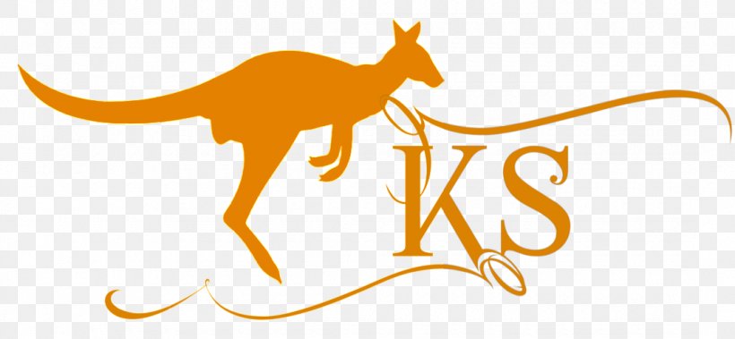 Kangaroo Silhouette Macropodidae, PNG, 1080x500px, Kangaroo, Animal, Black And White, Canidae, Carnivoran Download Free