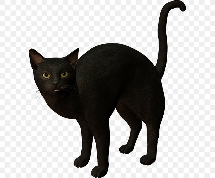 Black Cat Korat Kitten Clip Art, PNG, 600x680px, Black Cat, Asian, Black, Bombay, Burmese Download Free