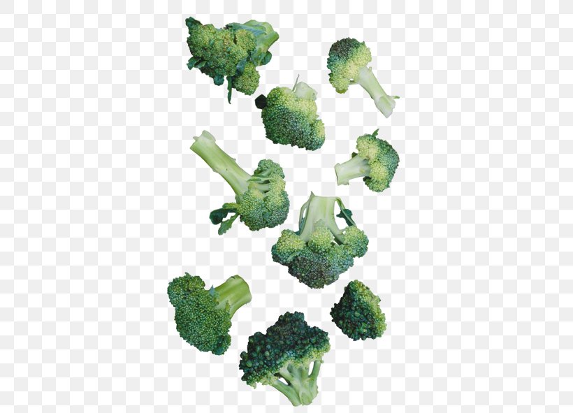 Cauliflower Broccoli Vegetable, PNG, 591x591px, Cauliflower, Brassica Oleracea, Broccoli, Cabbage, Grass Download Free