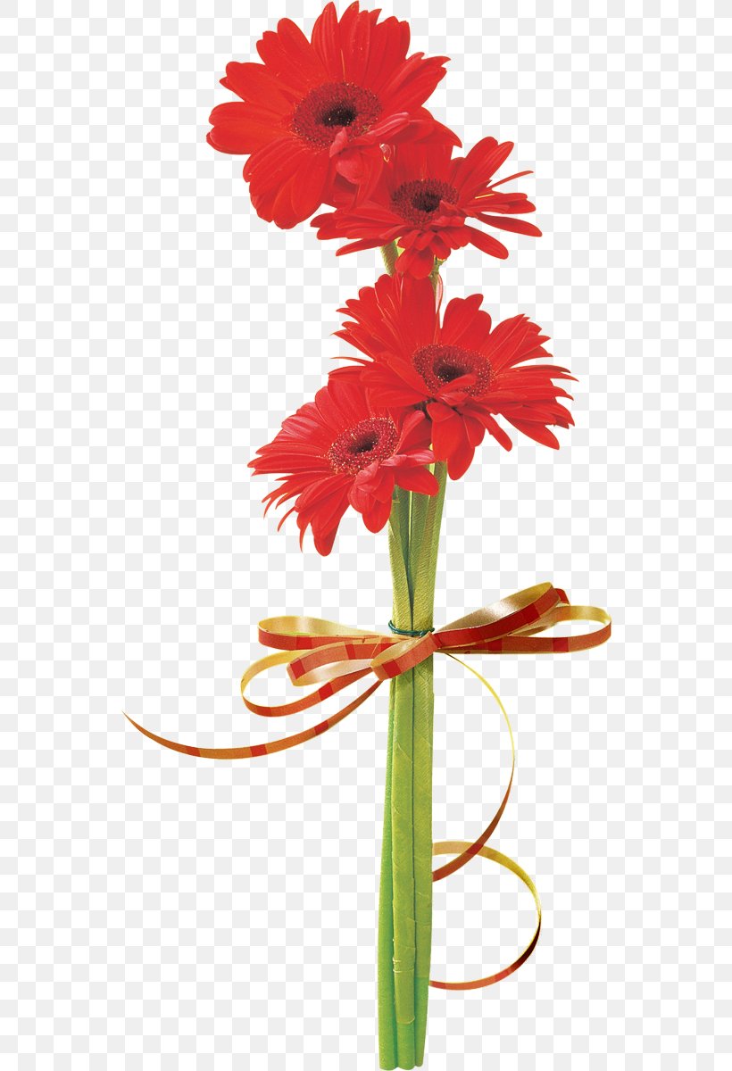 Chrysanthemum Floral Design Cut Flowers, PNG, 552x1200px, Chrysanthemum, Amaryllis Belladonna, Amaryllis Family, Carnation, Cut Flowers Download Free