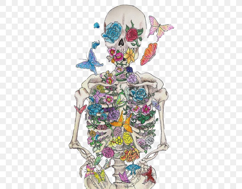Human Skeleton Anatomy Skull Bone, PNG, 494x640px, Watercolor, Cartoon, Flower, Frame, Heart Download Free