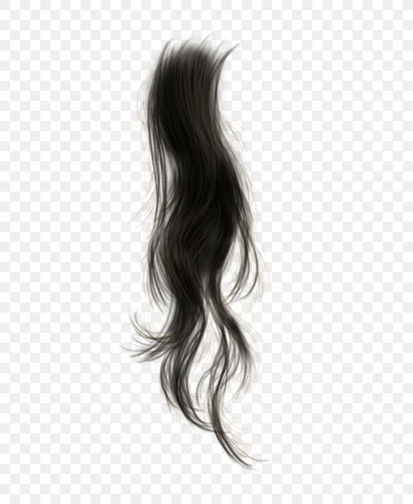 Black Hair Wig, PNG, 492x1000px, Hair, Black Hair, Blond, Brown Hair, Drawing Download Free