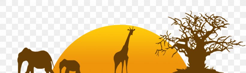 Giraffe Zoo Tycoon, PNG, 1000x300px, Giraffe, Computer Software, Giraffidae, Grass, Grayscale Download Free