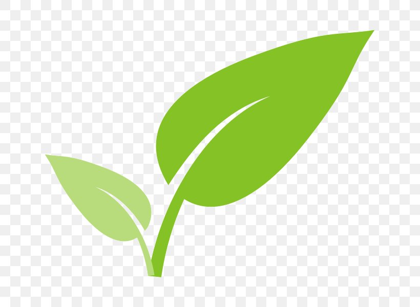 Leaf Legal Name Labor SOFT GARDEN Sp. Z O.o. Pracuj.pl, PNG, 800x600px, Leaf, Corporation, Finance, Grass, Green Download Free