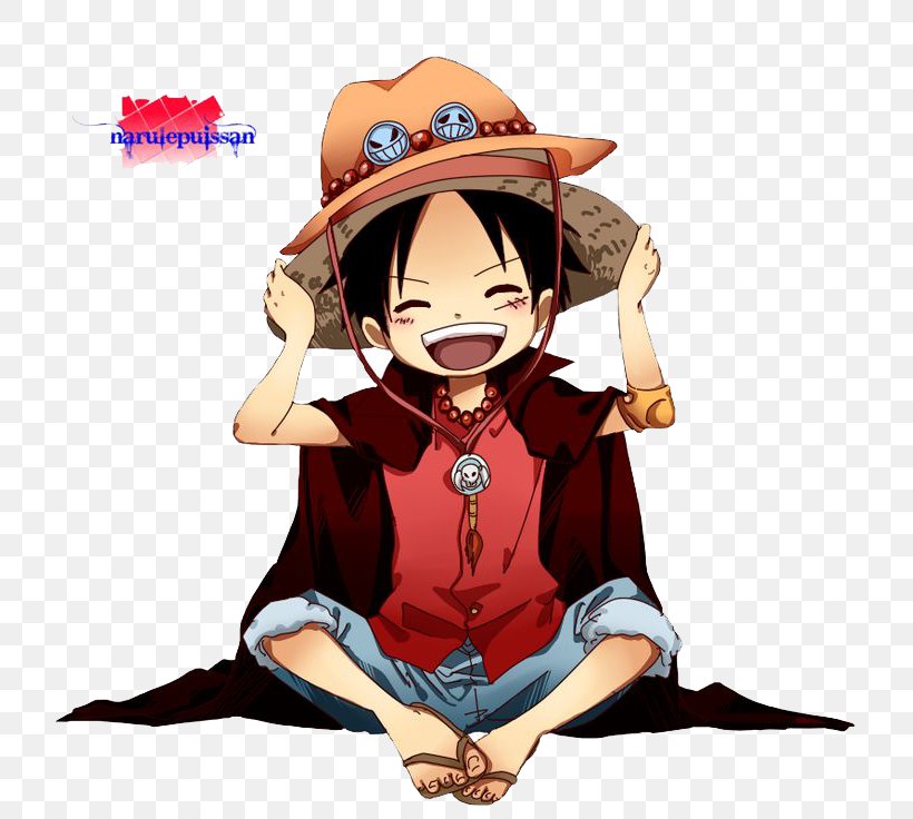Monkey D. Luffy One Piece: Pirate Warriors Roronoa Zoro Nami Usopp, PNG, 736x736px, Watercolor, Cartoon, Flower, Frame, Heart Download Free