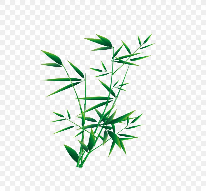 Plant, PNG, 1436x1333px, Plant, Bamboo, Fruit, Grass, Green Download Free