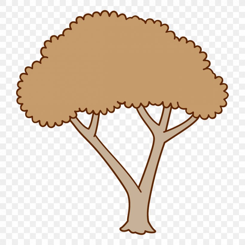Tree Plant Clip Art, PNG, 1200x1200px, Tree, Plant Download Free