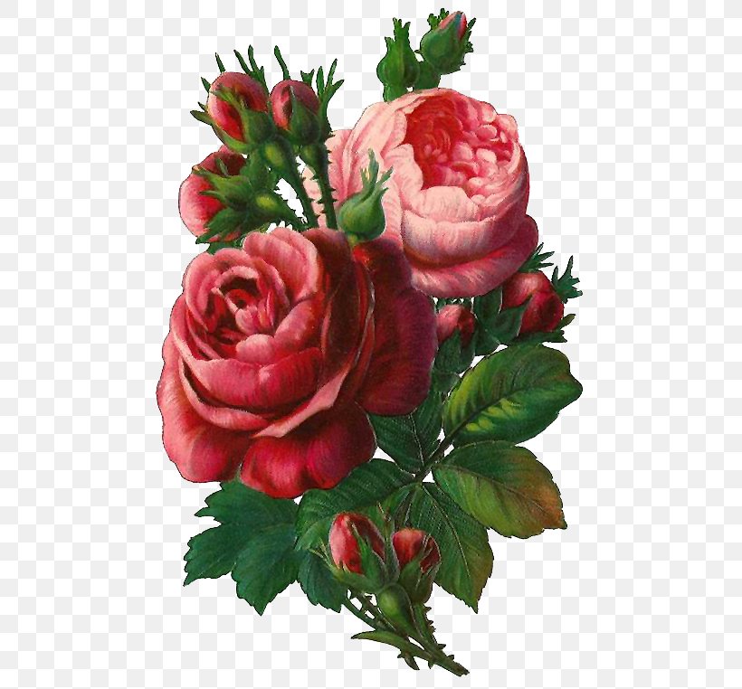 Bouquet Of Flowers Drawing, PNG, 493x762px, Decoupage, Artificial Flower, Bouquet, Cabbage Rose, Cut Flowers Download Free
