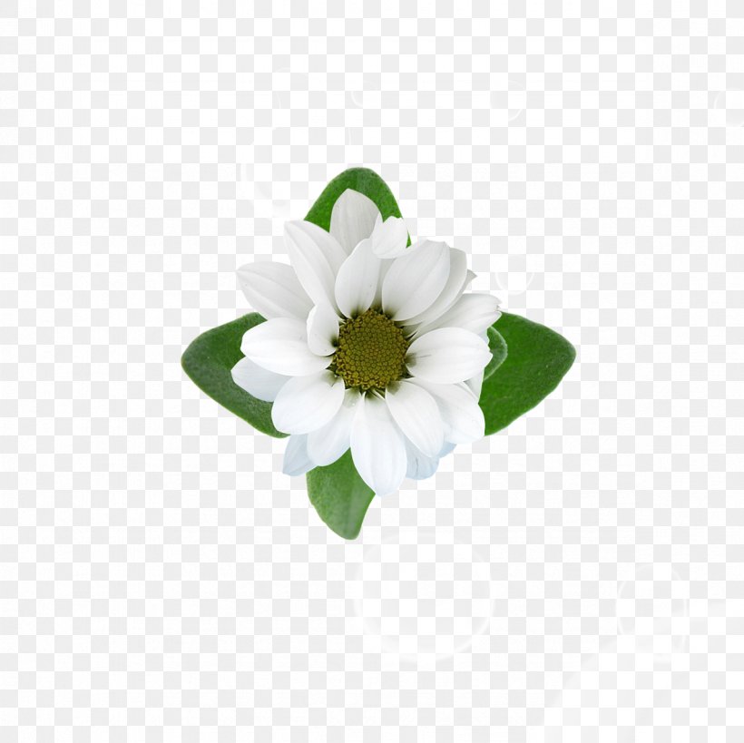 Chrysanthemum Flower Floral Design, PNG, 1181x1181px, Chrysanthemum, Aesop, Chemistry, Cleanser, Cosmetics Download Free