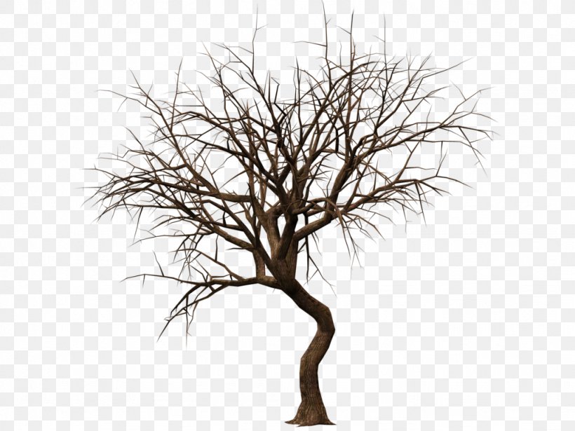 Drawing Tree Silhouette Clip Art, PNG, 1024x768px, Drawing, Black And White, Branch, Can Stock Photo, Grass Download Free