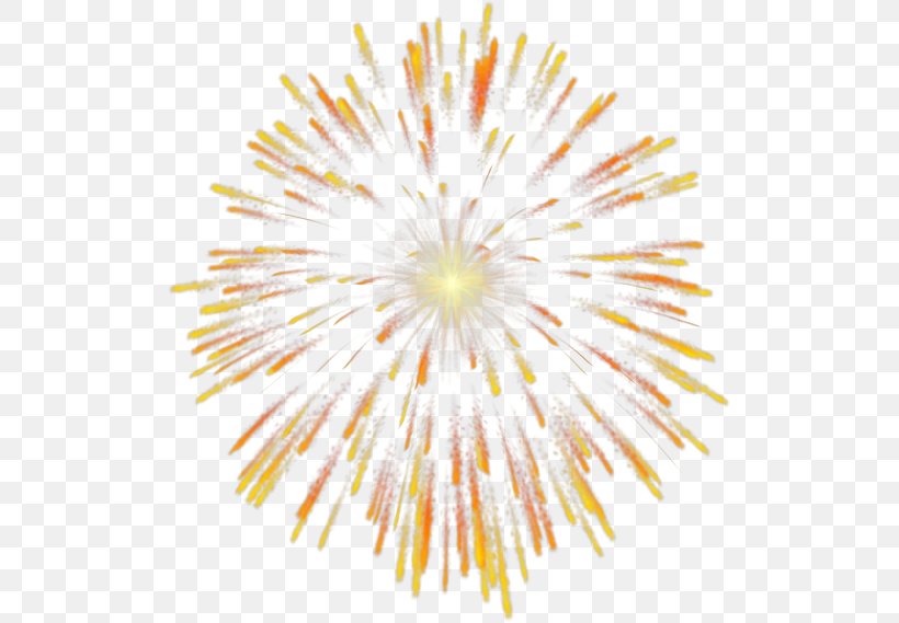 Fireworks Clip Art, PNG, 514x569px, 2017, Fireworks, Firecracker, Flower, Organism Download Free