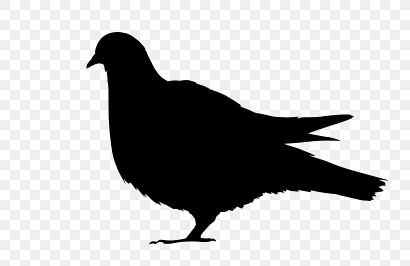 Ice Pigeon Bird The Feral Pigeon Clip Art, PNG, 800x532px, Ice Pigeon, Beak, Bird, Black And White, Columbidae Download Free