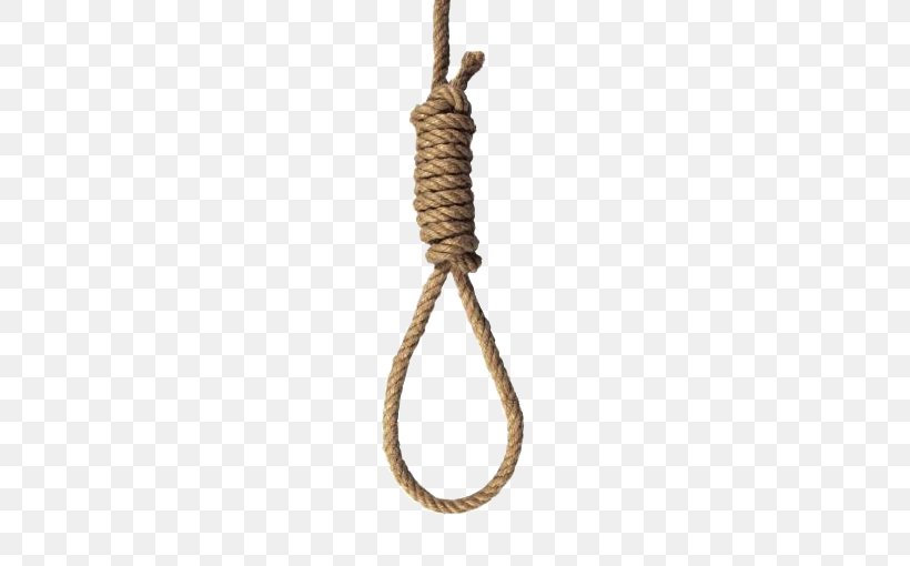 Rope Suicide By Hanging Hangman, PNG, 679x510px, Rope, Death, Electrical Cable, Hanging, Hangman Download Free