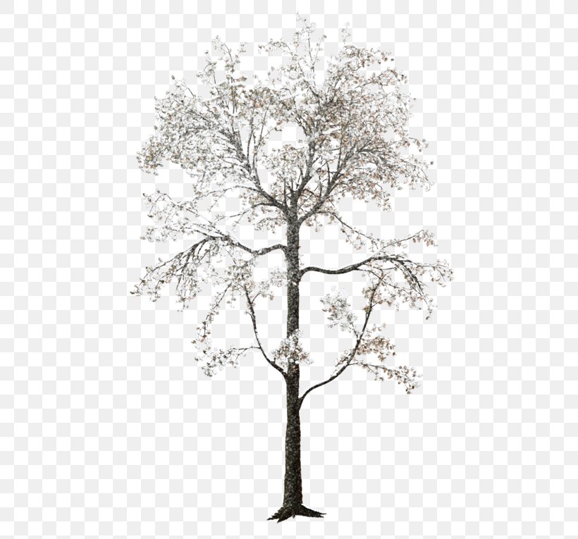 Tree Forest Clip Art, PNG, 500x765px, Tree, Black And White, Branch, Charcoal, Forest Download Free