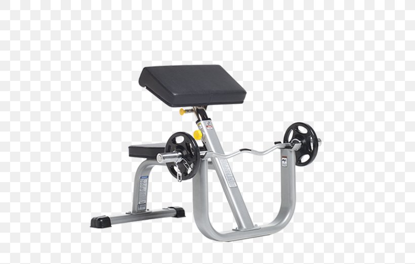 Bench Biceps Curl Exercise Power Rack, PNG, 563x522px, Bench, Arm, Automotive Exterior, Biceps, Biceps Curl Download Free