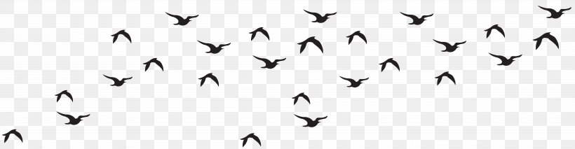 Bird Black And White Animal Migration Monochrome Photography, PNG, 8000x2087px, Bird, Animal Migration, Beak, Bird Migration, Black Download Free