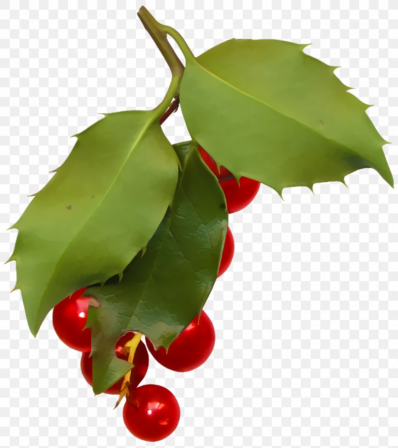 Christmas Holly Ilex Holly, PNG, 1300x1466px, Christmas Holly, Cherry, Christmas, Flower, Food Download Free