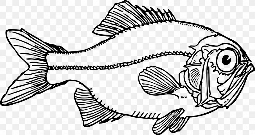 Fish Line Art Clip Art, PNG, 2400x1278px, Fish, Art, Artwork, Black And White, Drawing Download Free