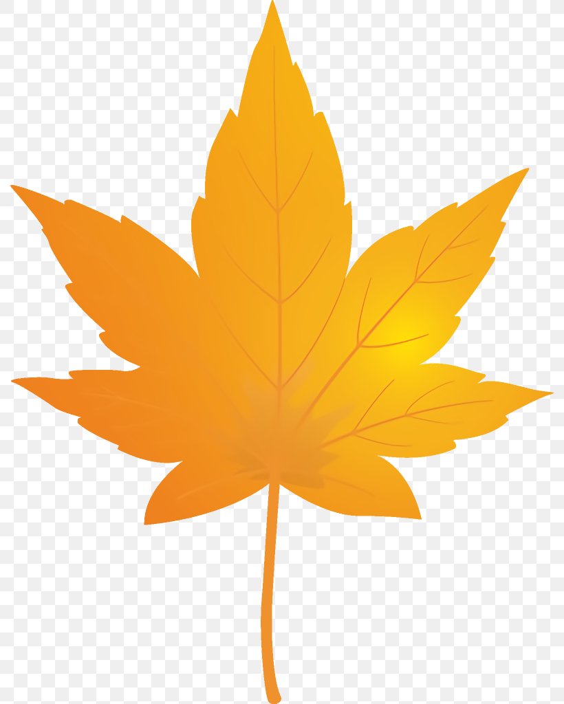 Maple Leaf Autumn Leaf Yellow Leaf, PNG, 792x1024px, Maple Leaf, Autumn Leaf, Black Maple, Leaf, Maple Download Free