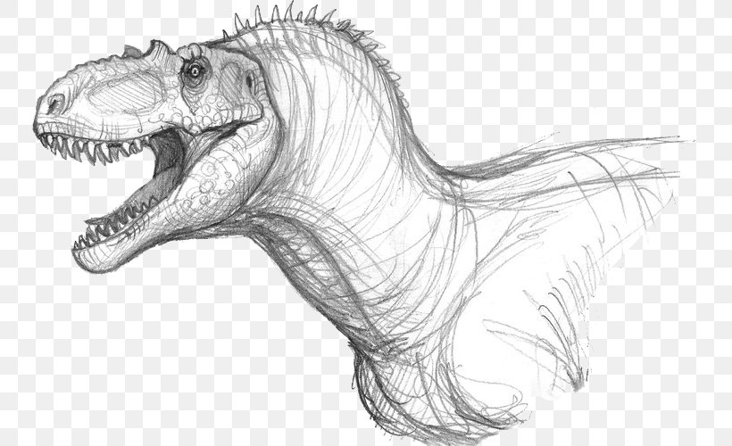 Tyrannosaurus Albertosaurus Allosaurus Dinosaur Velociraptor, PNG, 800x500px, Tyrannosaurus, Albertosaurus, Allosaurus, Art, Artwork Download Free