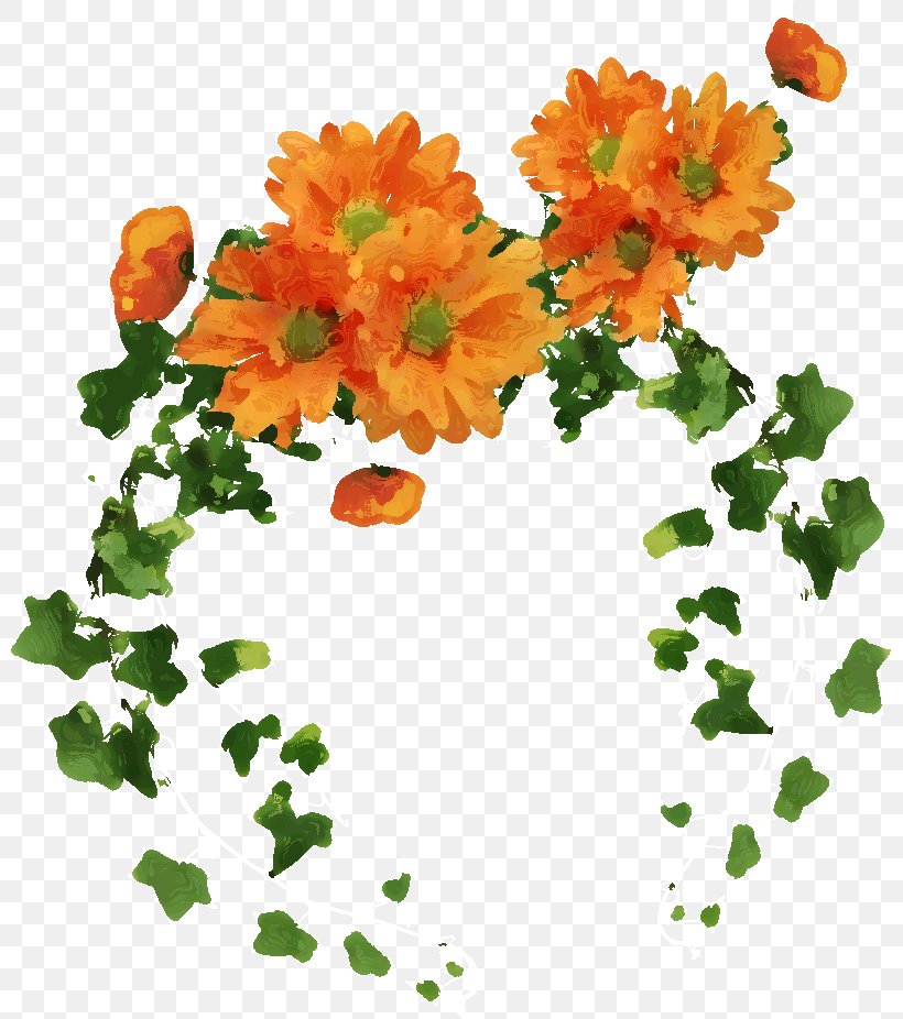 Floral Design Orange Cut Flowers Boston Ivy, PNG, 799x926px, Floral Design, Boston Ivy, Calendula, Chrysanths, Color Download Free