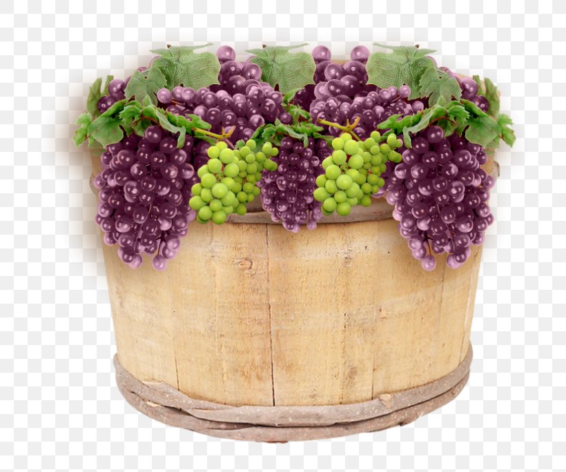 Grape Wine Harvest Fruit, PNG, 800x684px, Grape, Blog, Flowerpot, Food, Fruit Download Free