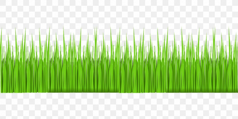 Lawn Grass Garden, PNG, 960x480px, Lawn, Cartoon, Chrysopogon Zizanioides, Commodity, Drawing Download Free