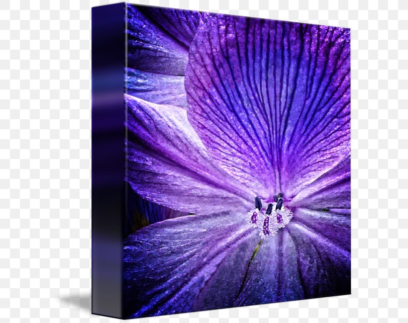 Modern Art Modern Architecture, PNG, 606x650px, Modern Art, Art, Flower, Lilac, Magenta Download Free