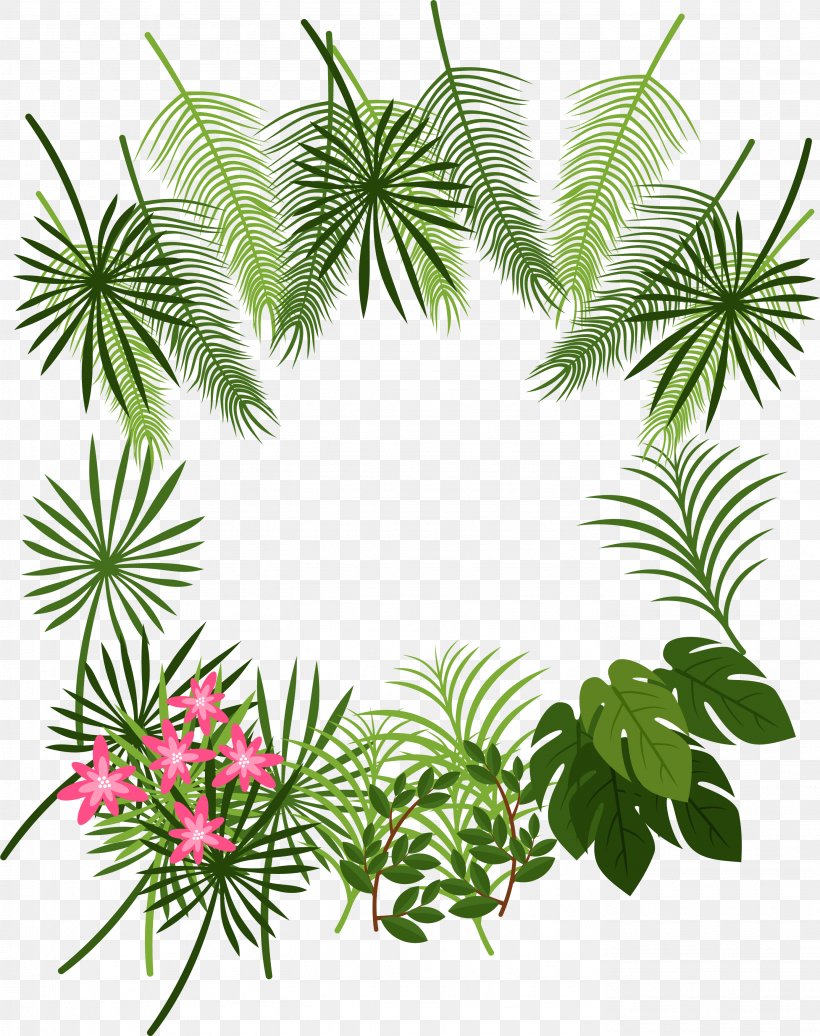 Arecaceae Leaf Tropics Plant, PNG, 2772x3504px, Leaf, Arecaceae, Border, Branch, Evergreen Download Free