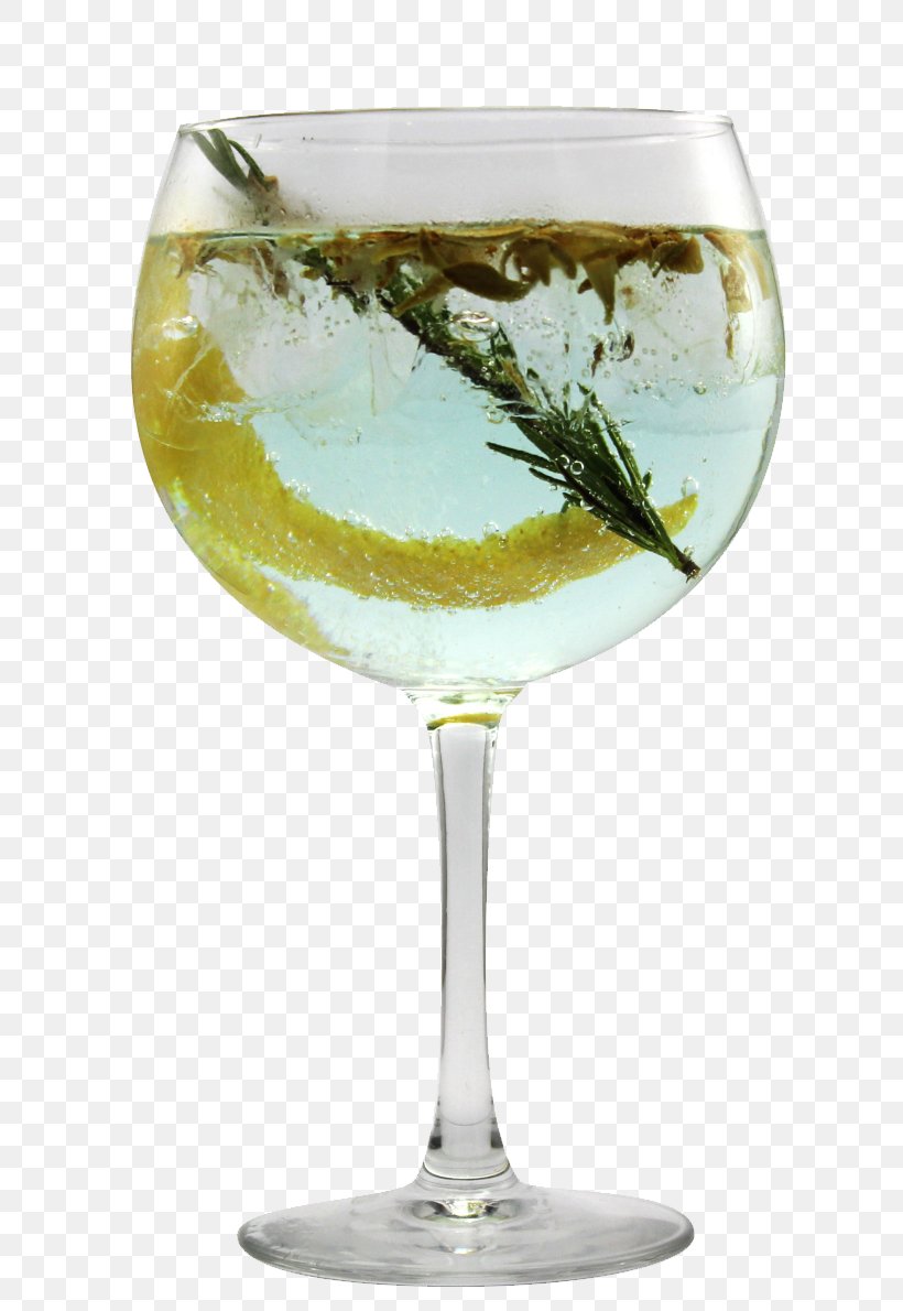 Gin And Tonic Cocktail Garnish Tonic Water, PNG, 815x1190px, Gin, Alcoholic Drink, Champagne Cocktail, Champagne Glass, Champagne Stemware Download Free