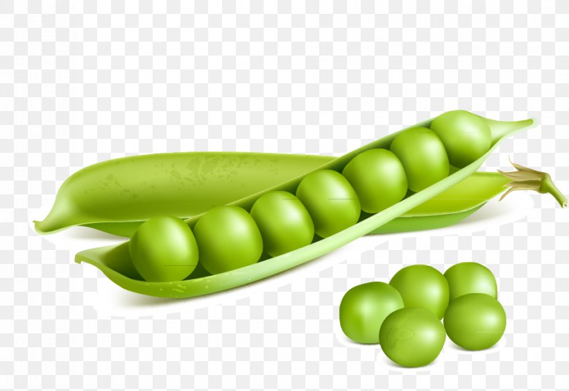 Pea Royalty-free Stock Illustration Illustration, PNG, 942x647px, Pea, Broad Bean, Commodity, Edamame, Food Download Free