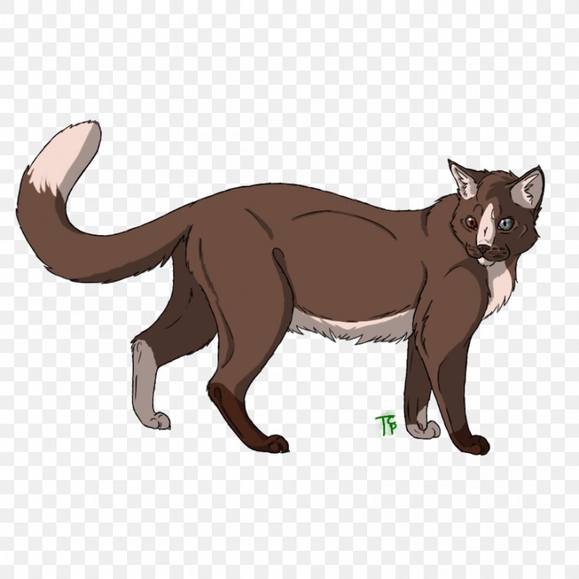 Whiskers Kitten Dog Canidae, PNG, 894x894px, Whiskers, Canidae, Carnivoran, Cartoon, Cat Download Free