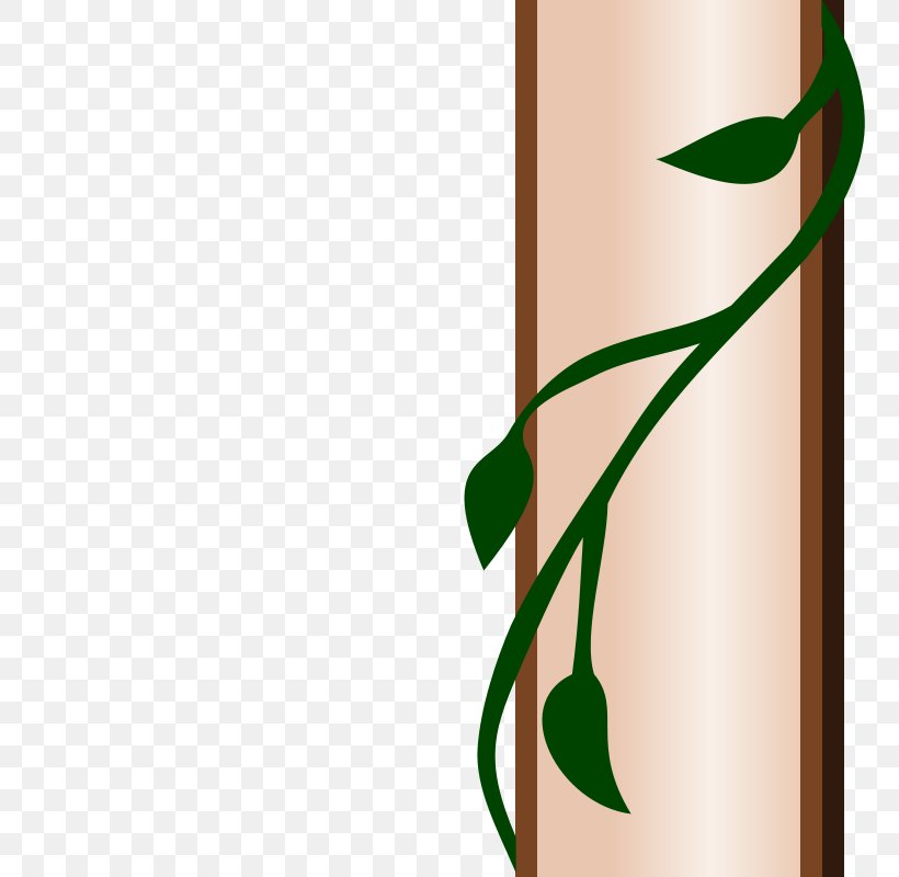 Common Ivy Clip Art, PNG, 800x800px, Common Ivy, Art, Branch, Drawing, Flora Download Free