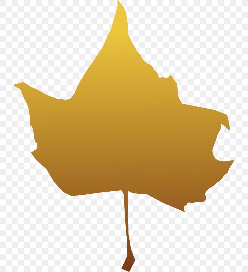 Maple Leaf Clip Art, PNG, 728x900px, Maple Leaf, Autumn, Autumn Leaf Color, Drawing, Flowering Plant Download Free