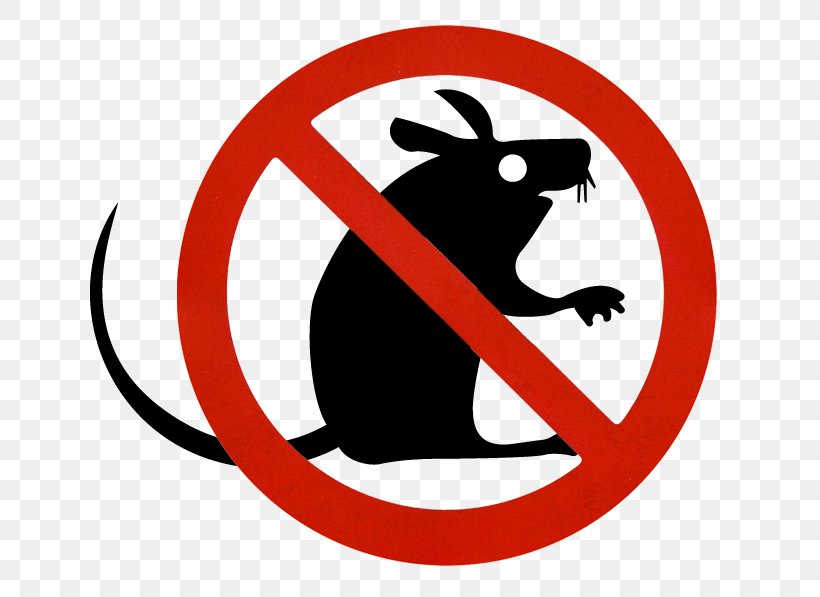 Mousetrap Rat Trap Rodent, PNG, 703x597px, Mouse, Area, Bait, Brand, Cage Download Free