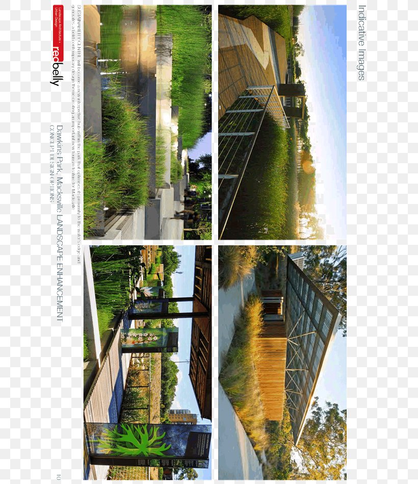 Tree Urban Design Collage Urban Area, PNG, 660x949px, Tree, Collage, Flora, Grass, Plant Download Free