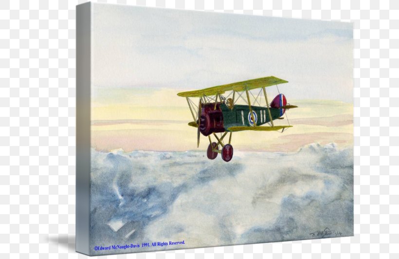 Biplane Aviation Wing Flying Ace Sky Plc, PNG, 650x532px, Biplane, Aircraft, Airplane, Aviation, Flying Ace Download Free