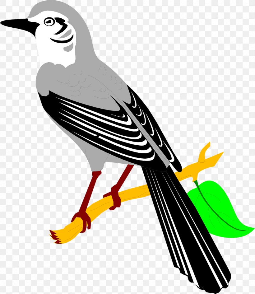 Northern Mockingbird Clip Art, PNG, 958x1105px, Mockingbird, Artwork, Beak, Bird, Drawing Download Free