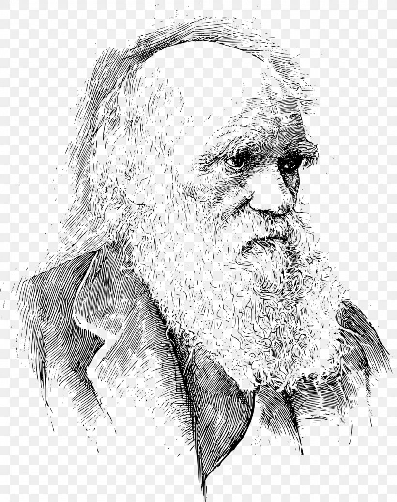 On The Origin Of Species The Voyage Of The Beagle Darwin Day Darwinism Evolution, PNG, 1051x1328px, On The Origin Of Species, Alfred Russel Wallace, Art, Artwork, Beard Download Free