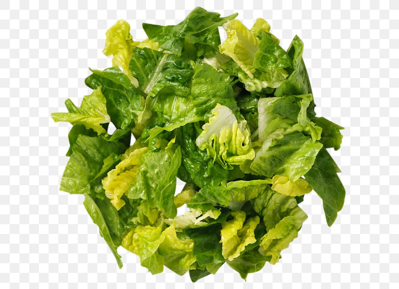 Romaine Lettuce Caesar Salad Vegetable Vegetarian Cuisine, PNG, 678x593px, Romaine Lettuce, Auglis, Caesar Salad, Dish, Food Download Free