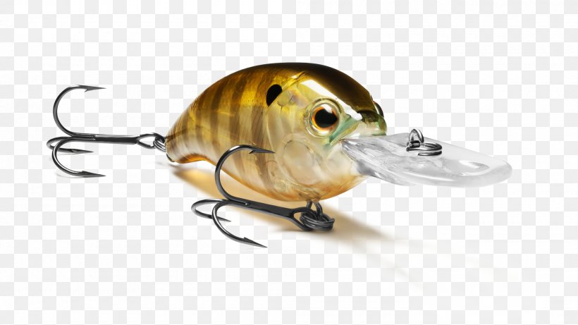 Fishing Baits & Lures Insect, PNG, 2000x1125px, Fishing Baits Lures, Bait, Fish, Fishing, Fishing Bait Download Free