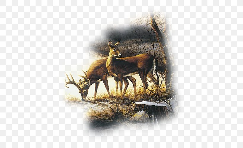 Painting Deer Art Elk Drawing, PNG, 500x500px, Painting, Abstract Art, Animal, Antler, Art Download Free