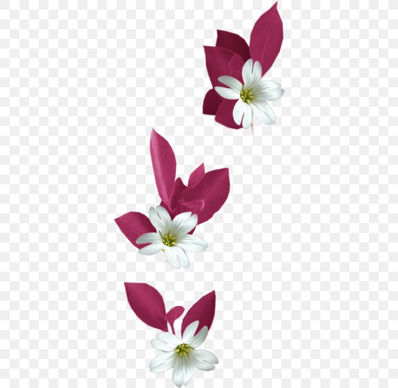 Flower Bokmxc3xa4rke Clip Art, PNG, 352x800px, Flower, Blossom, Flora, Floral Design, Floristry Download Free
