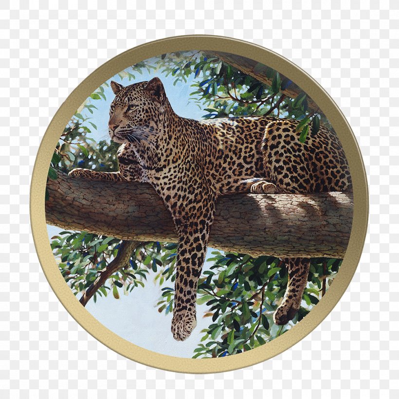 Leopard Jaguar Cheetah Fauna Wildlife, PNG, 1000x1000px, Leopard, Animal, Big Cats, Book, Carnivoran Download Free