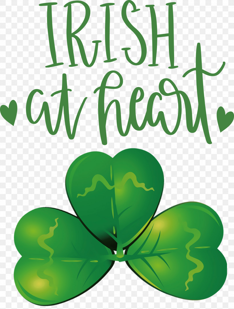 Shamrock Irish Saint Patrick, PNG, 2269x2999px, Shamrock, Biology, Green, Irish, Leaf Download Free